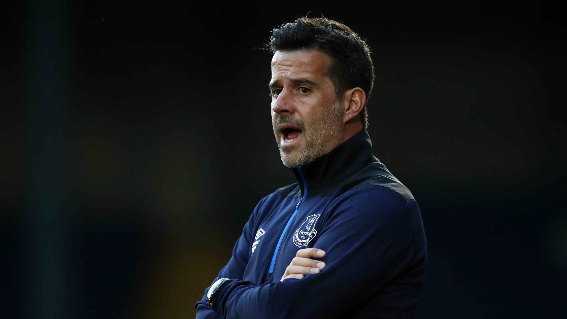 阿劳霍自加 阿劳霍自加